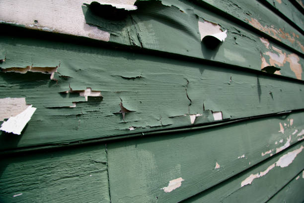Demolition Debris Removal in Mount Holly, NC