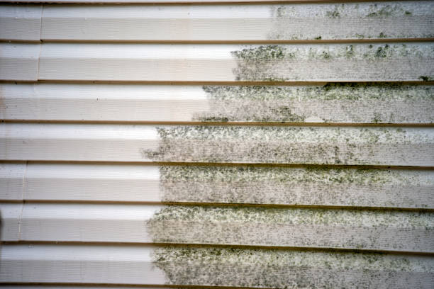 Trusted Mount Holly, NC Junk Removal Experts