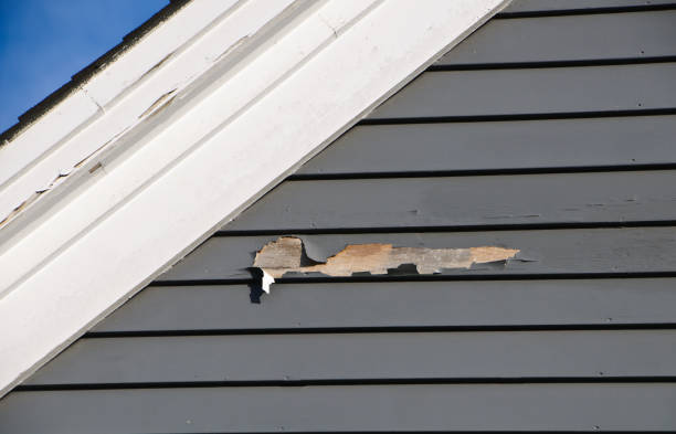 Best Construction Debris Removal  in Mount Holly, NC